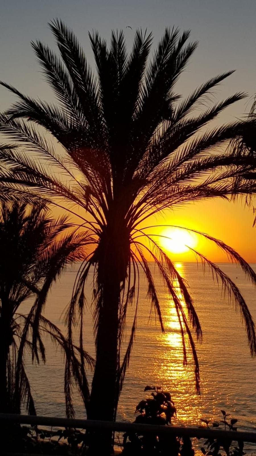 Aloha Beach Vibe Benalmadena Ngoại thất bức ảnh